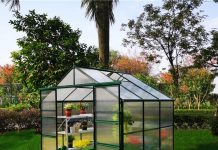 Плюсы теплиц над высадкой в грунт