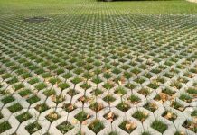 Как сделать красивый газон и что делать, если ничего не получается?