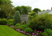 Какие кустарники посадить на даче