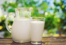 Современное оборудование для молочной индустрии: точность, скорость и инновации