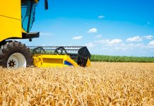 Как подобрать детали для сельскохозяйственной техники https://ru.freepik.com/free-photo/combine-harvester-working-in-the-field_11133928.htm#fromView=search&page=1&position=12&uuid=03269216-0e67-485c-85d3-9b828a17bee2