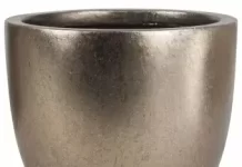 Подбор растений для большого цветочного горшка: идеи и советы