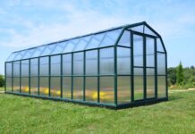 Теплицы из поликарбоната: советы по выбору и установке