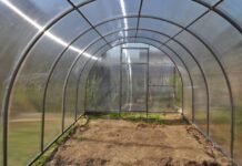 Теплица из поликарбоната: плюсы и популярность