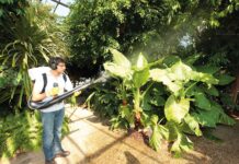 Бензиновые опрыскиватели: универсальное решение для сада