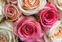 Подарите радость с букетами на день рождения от AzaliaNow