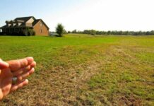 Участок под цех: как выбрать и что учитывать при покупке