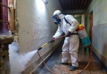 Что такое фумигация и почему она эффективна